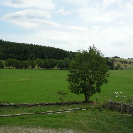 Gite A La Ferme Le Malzieu-Ville Exteriér fotografie