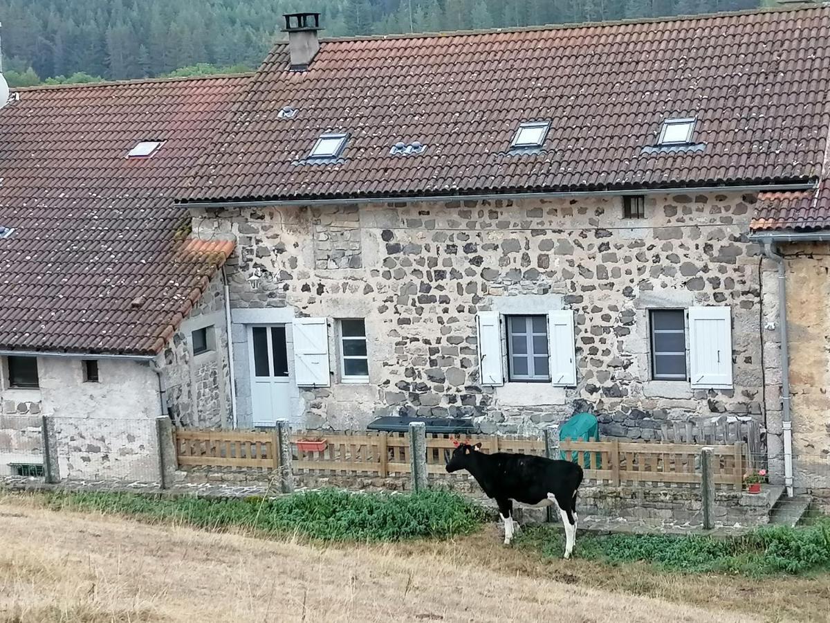 Gite A La Ferme Le Malzieu-Ville Exteriér fotografie