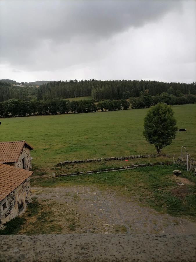 Gite A La Ferme Le Malzieu-Ville Exteriér fotografie