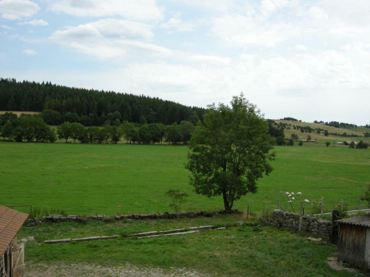 Gite A La Ferme Le Malzieu-Ville Exteriér fotografie